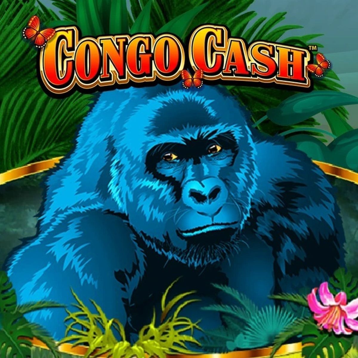 Congo Cash