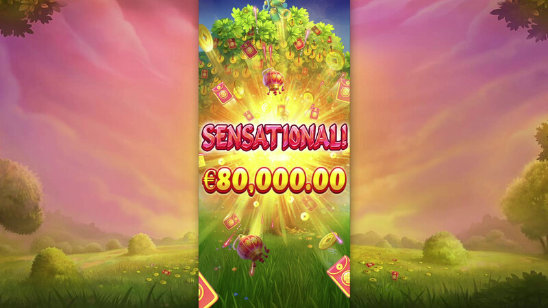 Lucky Fortune Tree RTP, Payout & Volatility